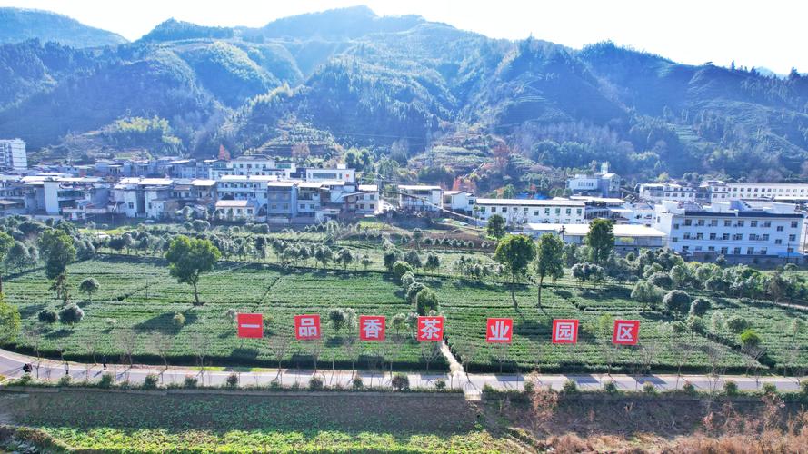 黔由由富硒茶(丹寨县大健康产业投资)-硒宝网