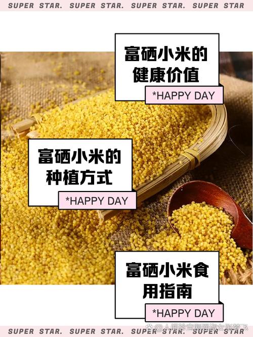 富硒大米海报（黄小米富硒大米市场供给预测）-硒宝网