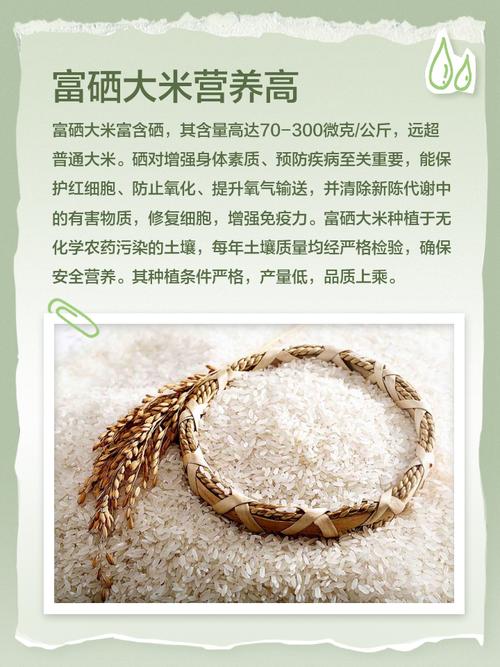 富硒大米海报（黄小米富硒大米市场供给预测）-硒宝网