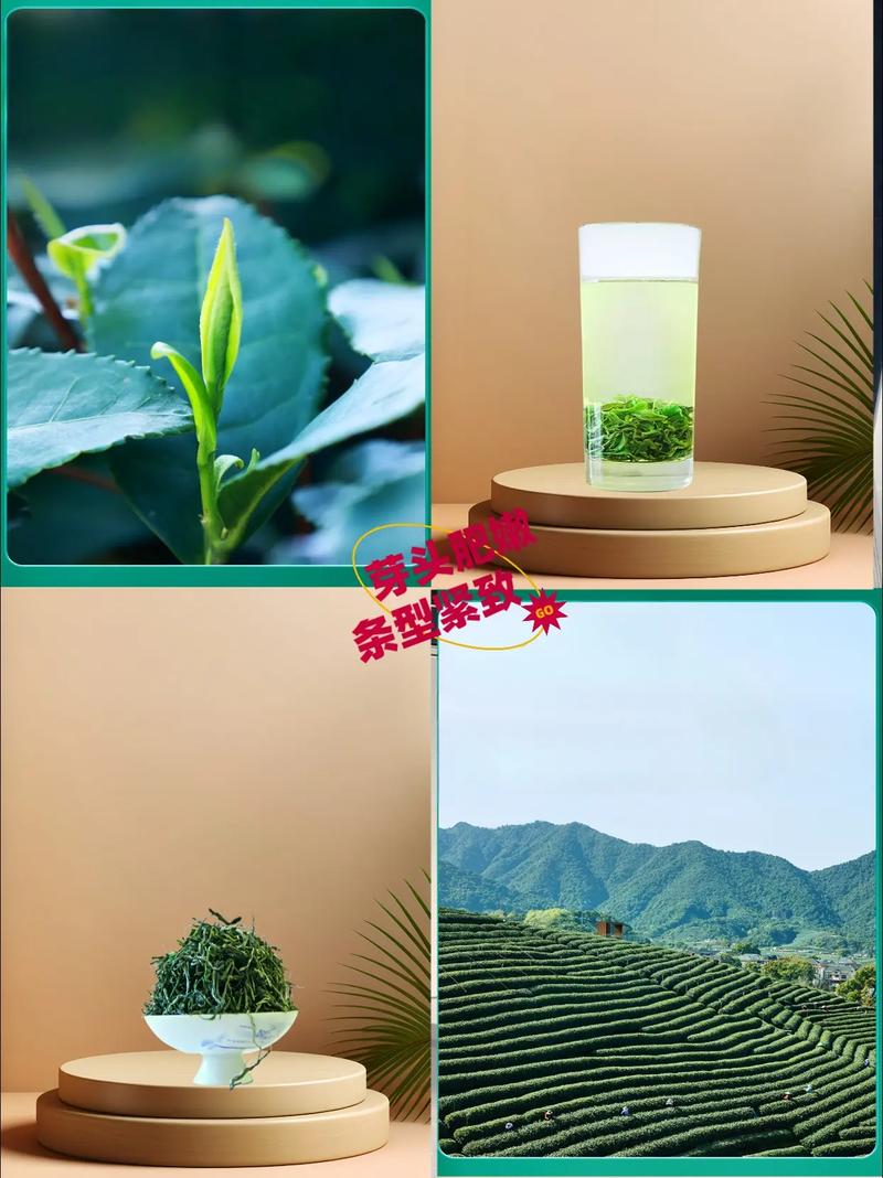 黔由由富硒茶（紫阳富硒茶冲泡程序）-硒宝网