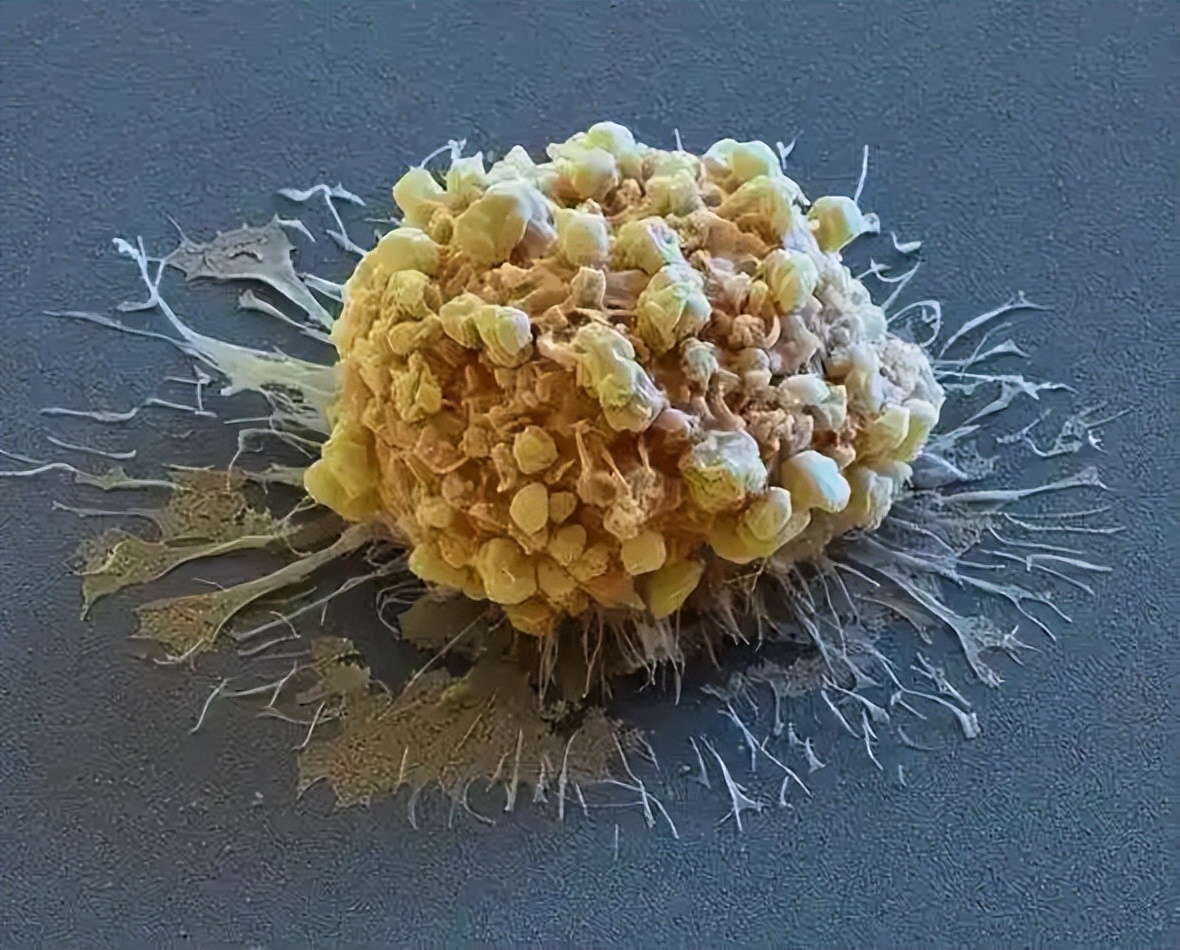 需要补硒人群(硒含量食物推荐)-硒宝网