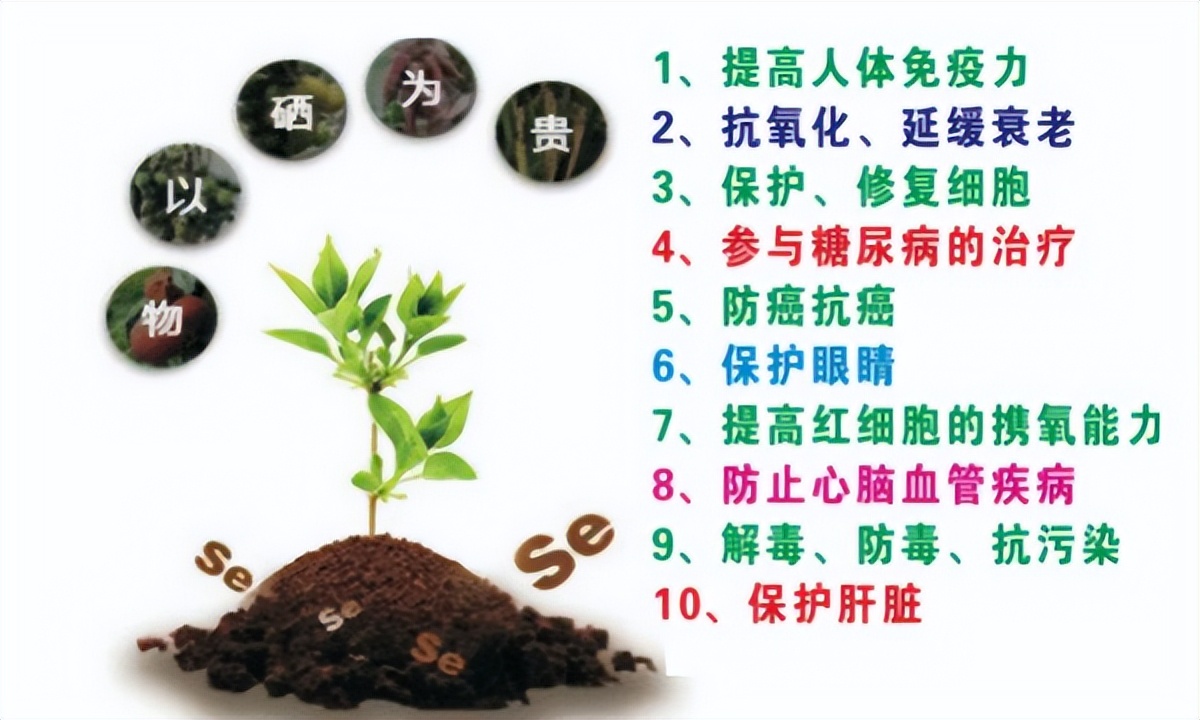 全国补硒现状（硒元素补充）-硒宝网