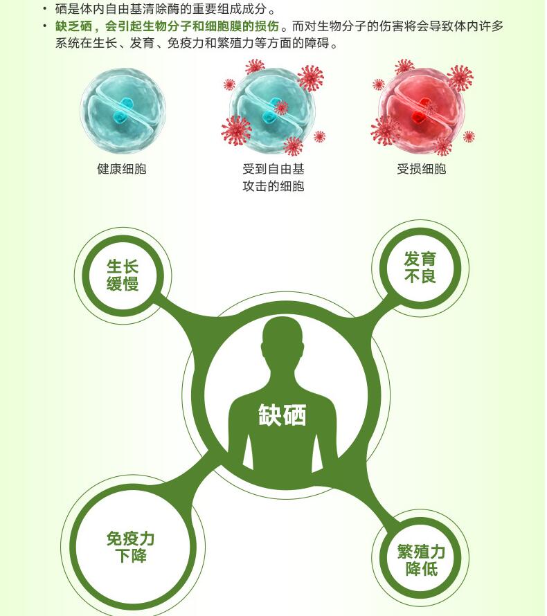 全国补硒现状（硒元素补充）-硒宝网