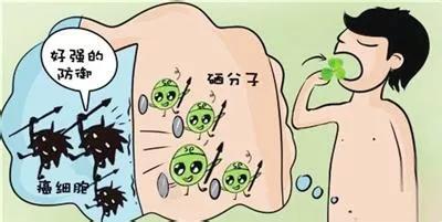 补硒工程股份(硒与人体健康知识)-硒宝网