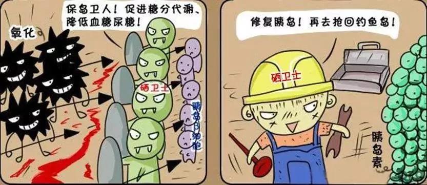 补硒工程股份(硒与人体健康知识)-硒宝网