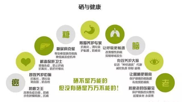 补硒工程股份(硒与人体健康知识)-硒宝网