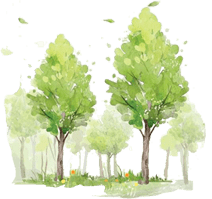 补硒治疗布病（布鲁菌病中医治疗）-硒宝网