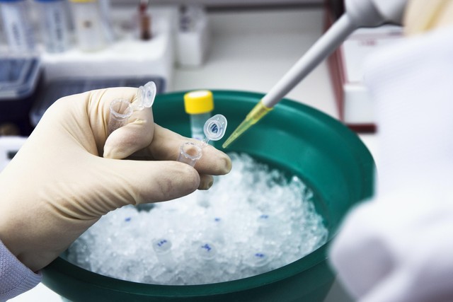 需要补硒人群(硒补充剂与食物来源)-硒宝网