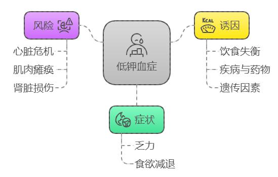钾低需要补硒(钾离子缺乏症状)-硒宝网