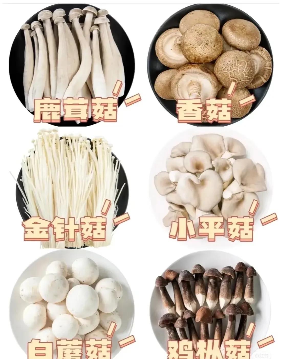 补硒能减肥吗(6种富硒食物推荐)-硒宝网