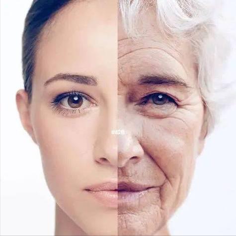 能单独补硒吗(补硒食物推荐)-硒宝网