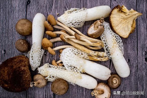 食物能补硒吗（硒缺乏与癌症风险）-硒宝网