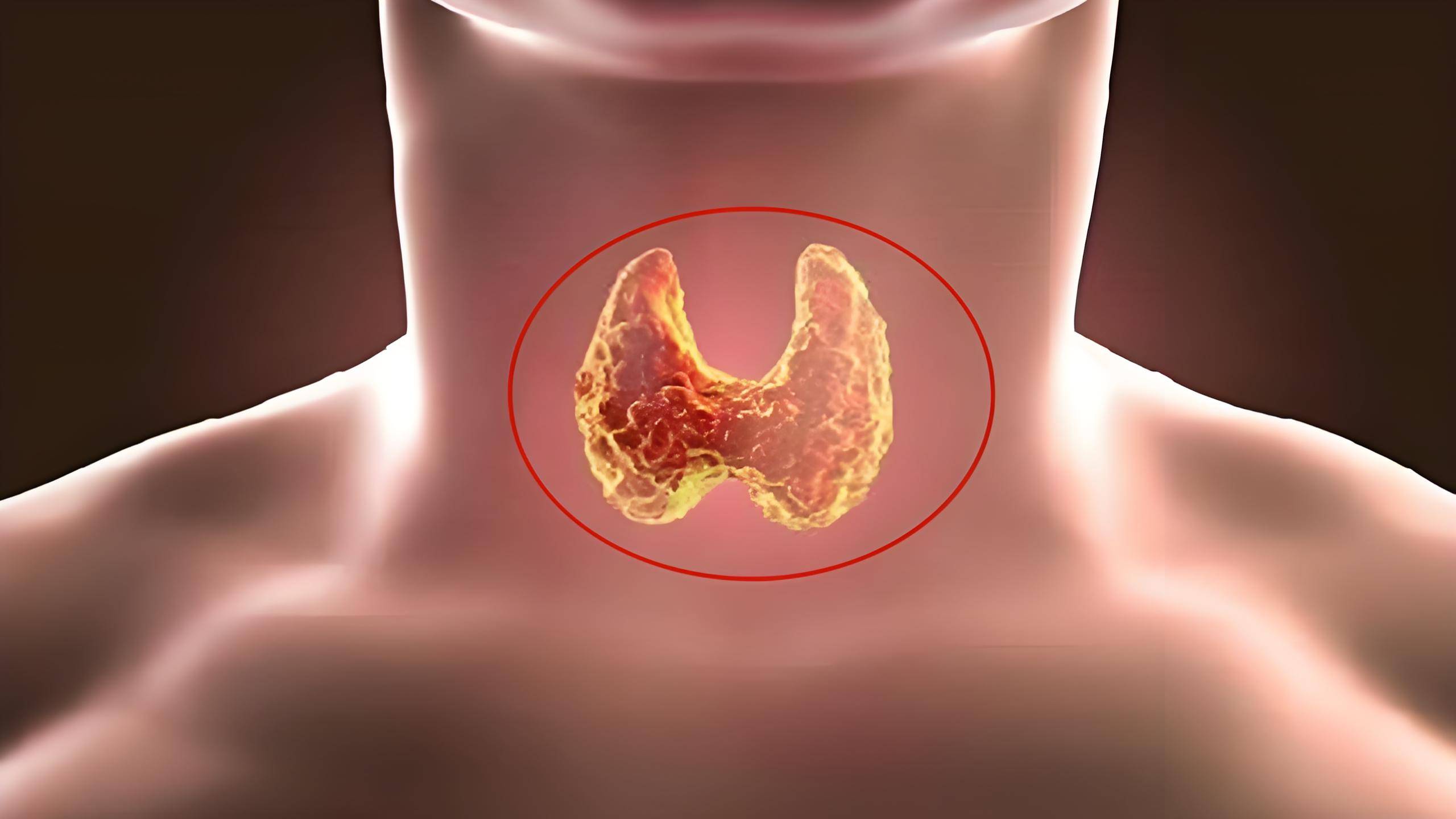 全国补硒现状（硒补充食物推荐）-硒宝网