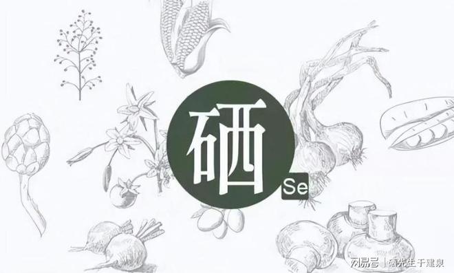 补硒会过敏吗(硒元素辅助降血脂)-硒宝网