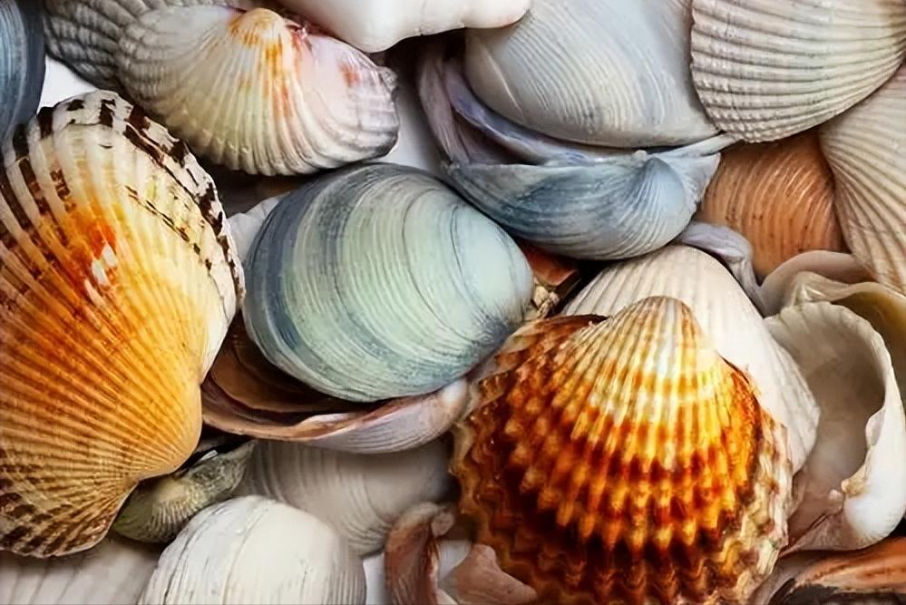 一天补多少硒(硒补充食物)-硒宝网