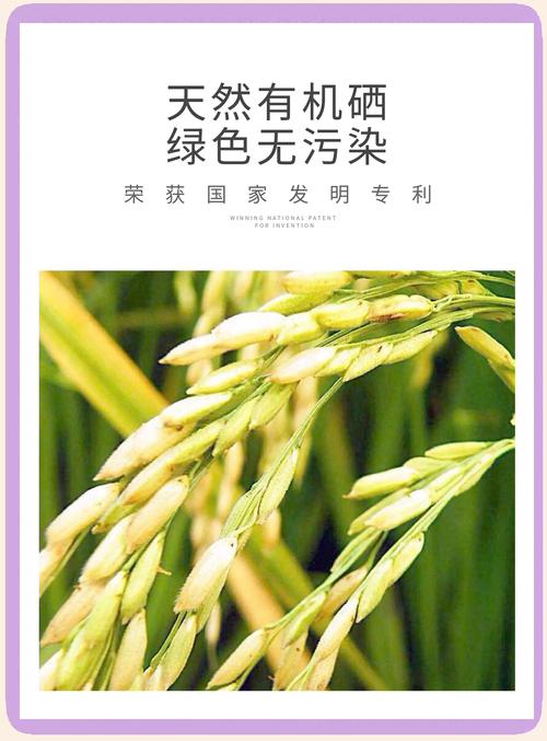 富硒大米补硒（富硒大米种植技术）-硒宝网