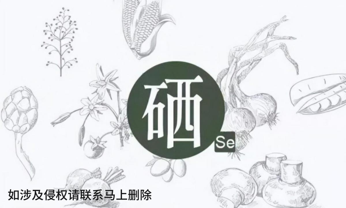 硒酵母补硒么(硒酵母的作用和补硒的好处)-硒宝网