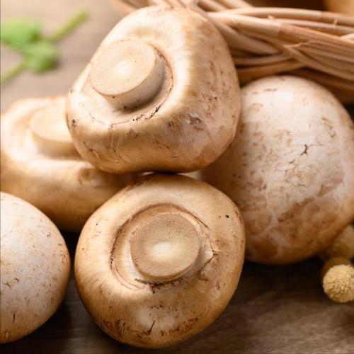 补硒2018（香菇硒含量）-硒宝网