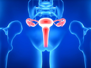 补硒 hpv(山西公立HPV防治中心)-硒宝网