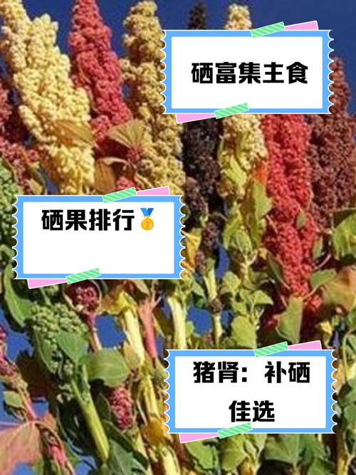 儿童补镁补硒(植物性食物高含铁食物)-硒宝网