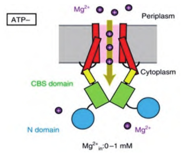 补硒还是补镁(全民补硒)-硒宝网