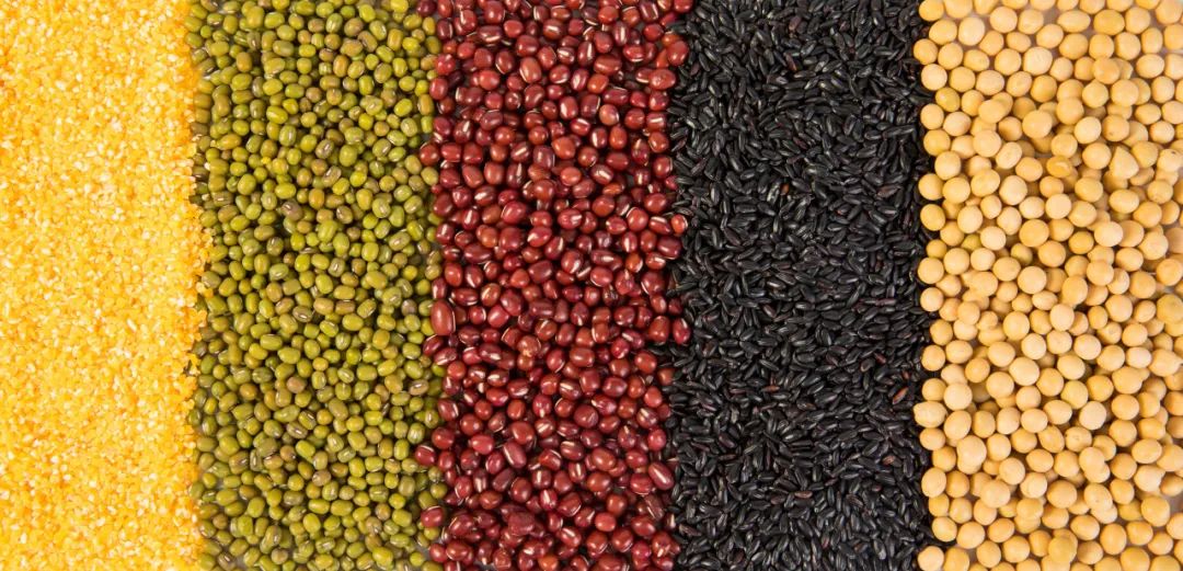 补硒还是补镁(镁缺乏与癌症预防)-硒宝网