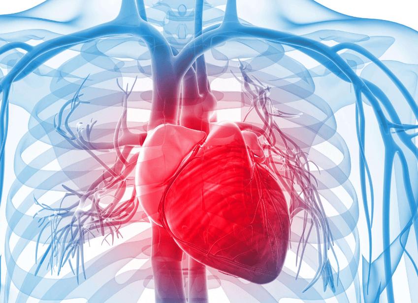 要补硒怎么补（硒元素对心脏的好处）-硒宝网