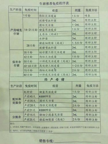 母猪补硒饲料（母猪免疫时间表）-硒宝网