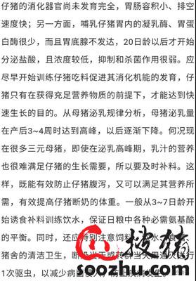 仔猪硒怎么补（仔猪断奶管理）-硒宝网