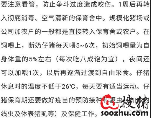 仔猪硒怎么补（仔猪断奶管理）-硒宝网