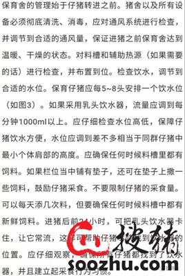 仔猪硒怎么补（仔猪断奶管理）-硒宝网