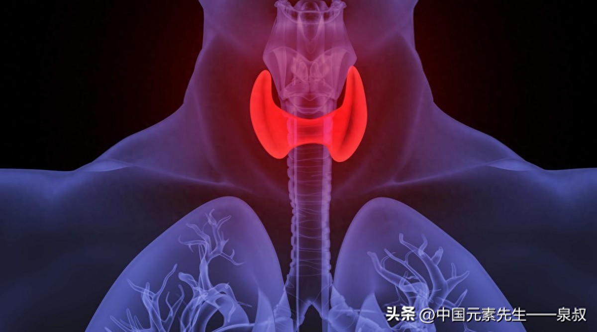 甲亢补硒推荐（微量元素控制甲亢）-硒宝网