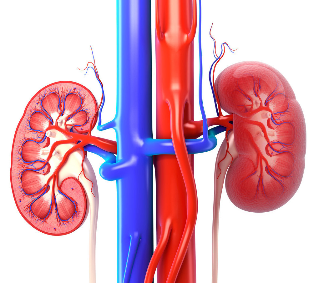 肝病补硒好吗(大蒜素与肝脏健康)-硒宝网