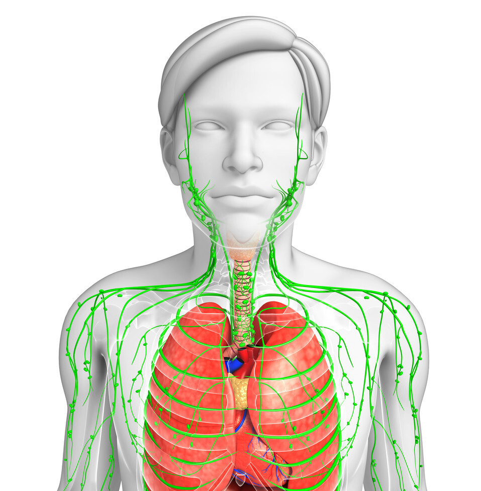 肝病补硒好吗(大蒜素与肝脏健康)-硒宝网