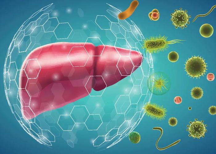肝病补硒好吗(肝脏健康饮食硒食物)-硒宝网