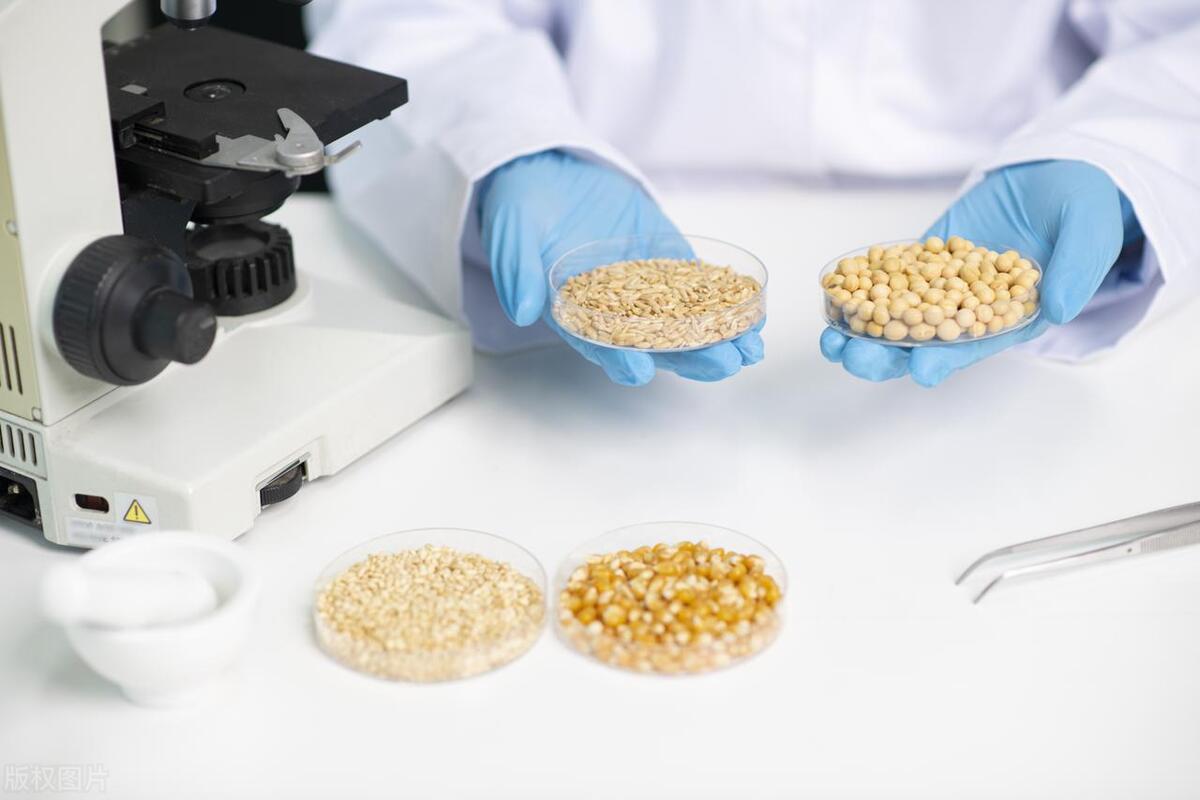 成人补硒排名(硒缺乏与慢性疾病风险)-硒宝网