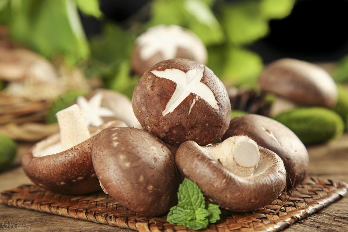 成人补硒排名(硒缺乏与慢性疾病风险)-硒宝网