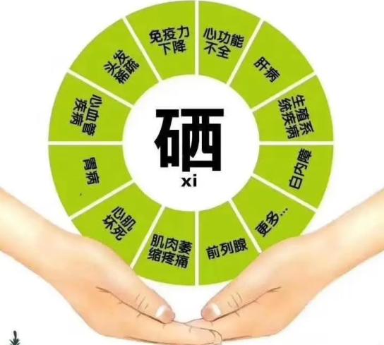 补硒食物含量(硒对免疫力的作用)-硒宝网