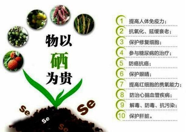 补硒食物含量(硒对免疫力的作用)-硒宝网