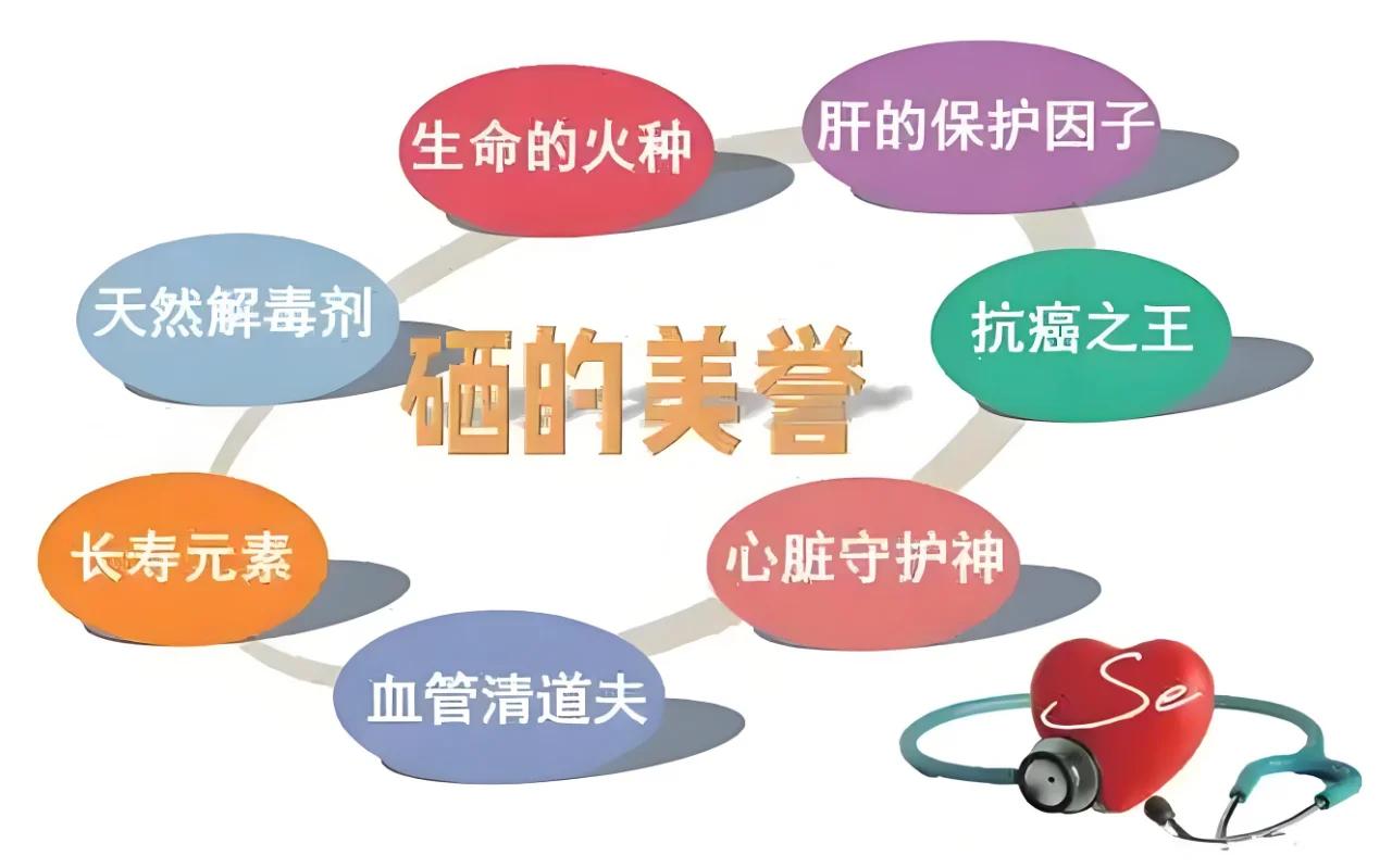 补硒食物含量(硒对免疫力的作用)-硒宝网