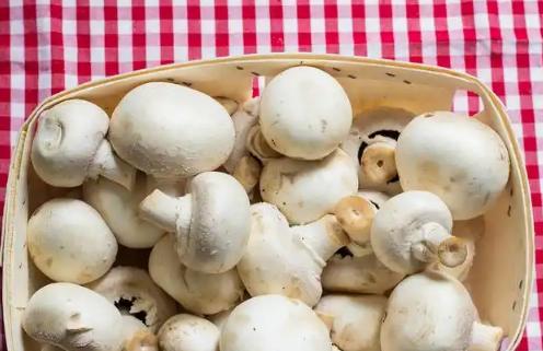 孩子需要补硒(天然维生素D蘑菇)-硒宝网