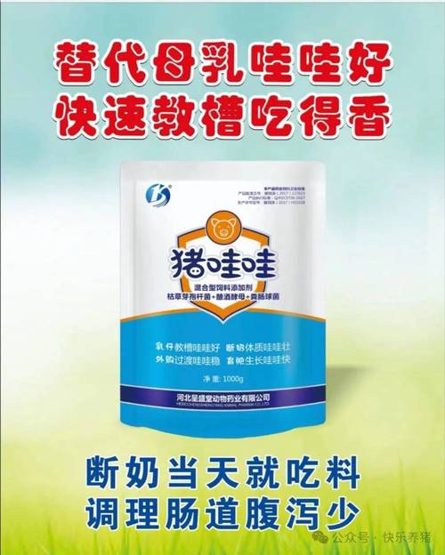 小猪补硒药物(仔猪保温措施)-硒宝网