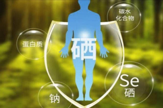 女性补硒元素(富硒食物推荐)-硒宝网