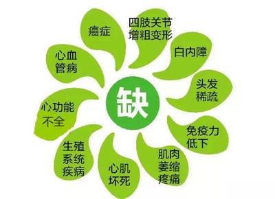 成人补硒排名（补硒食物）-硒宝网