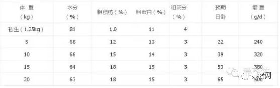 仔猪正确补硒（ 哺乳仔猪饲养管理技巧 ）-硒宝网