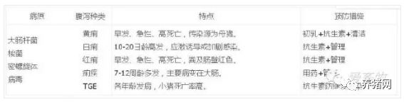 仔猪正确补硒（ 哺乳仔猪饲养管理技巧 ）-硒宝网