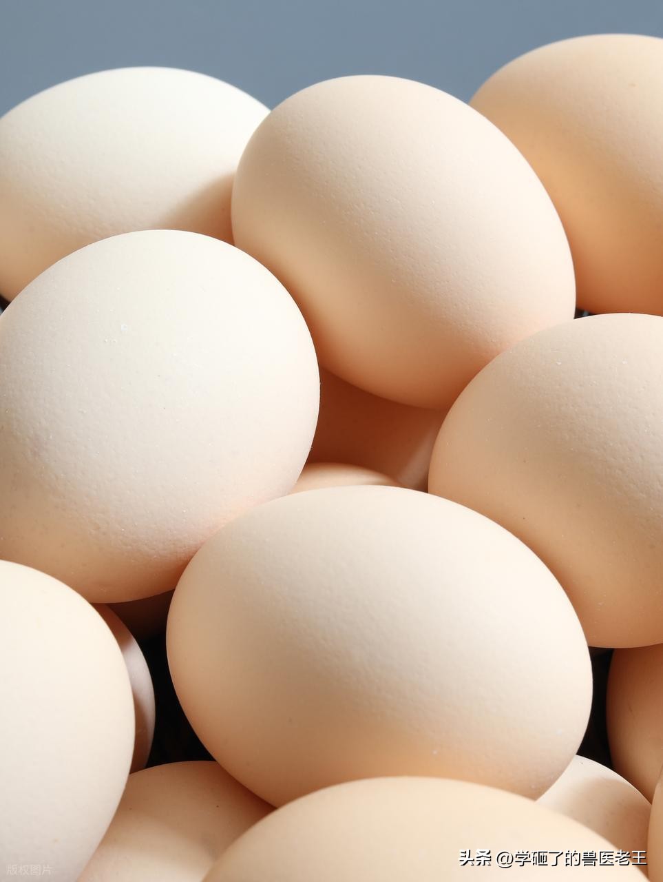 孩子需要补硒(硒缺乏地区分布及危害)-硒宝网