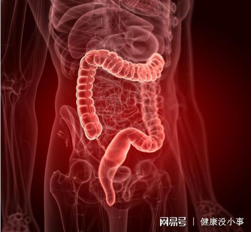 肠道息肉补硒(加工肉肠癌风险)-硒宝网