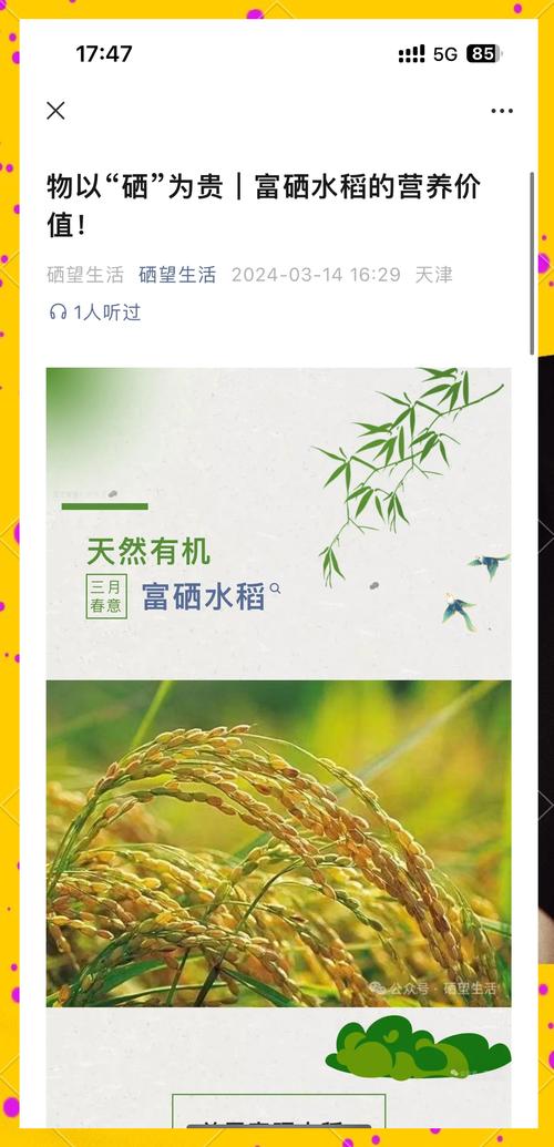 哪些东西补硒(优质硒水稻新品种)-硒宝网