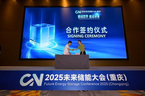 重庆需要补硒（新型储能材料与装备）-硒宝网